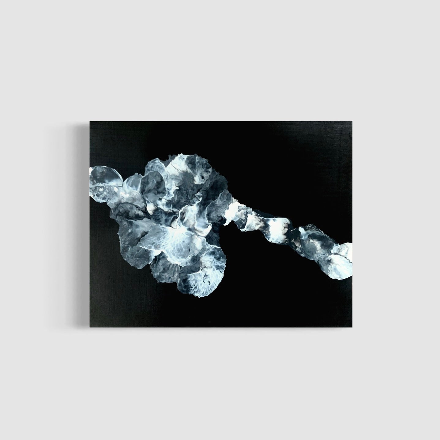 Microcosm 6